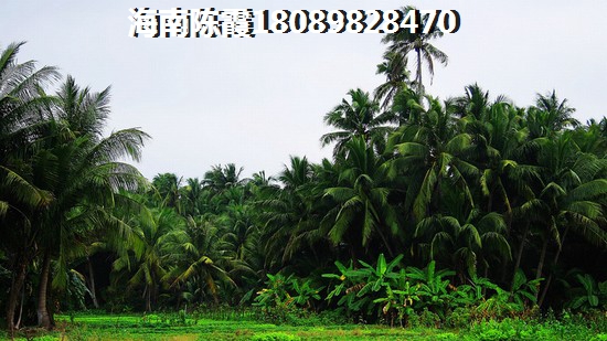 海南儋州二手房养老解析